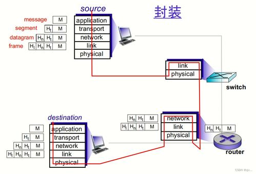 計(jì)算機(jī)網(wǎng)絡(luò)與因特網(wǎng) 網(wǎng)絡(luò)與信息安全軟件開發(fā)的關(guān)鍵基礎(chǔ)